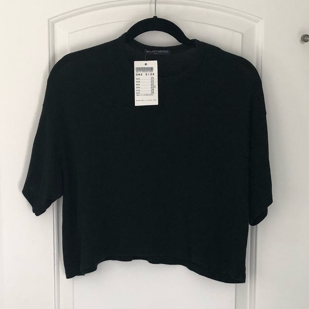 NWT Brandy Melville Cropped Sweater